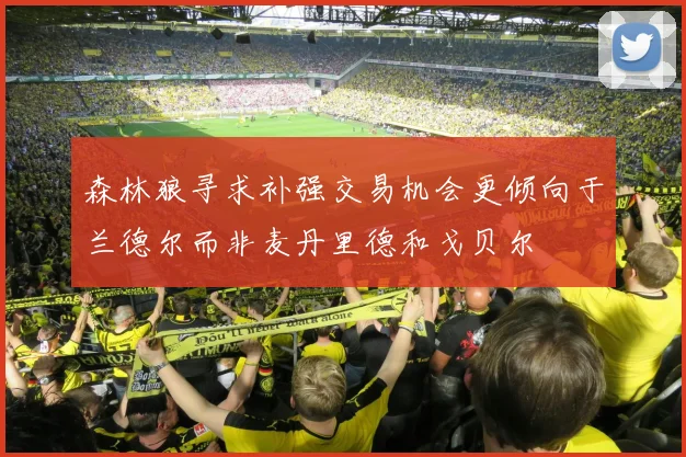 森林狼寻求补强交易机会更倾向于兰德尔而非麦丹里德和戈贝尔